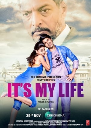 It’s My Life (2020) Hindi Movie HDRip x264 [1.2GB]