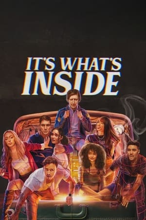It’s What’s Inside 2024 Hindi Dual Audio HDRip