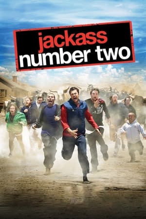 Jackass Number Two (2006) Hindi Dual Audio Web-DL 300MB