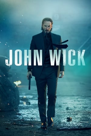 John Wick (2014) Hindi Dual Audio BluRay 300MB ESubs