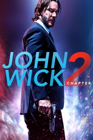 john Wick Chapter 2 (2017) Dual Audio Hindi Movie BluRay - 1.1GB