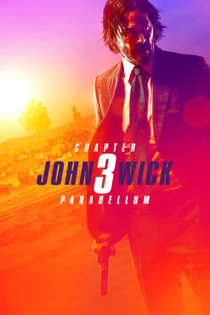 John Wick Chapter 3 Parabellum (2019) Hindi Dubbed BluRay [1GB]