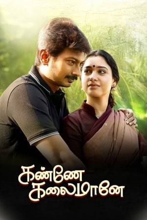 Kanne Kalaimaane 2019 (Hindi - Tamil) Dual Audio UnCut HDRip 450MB