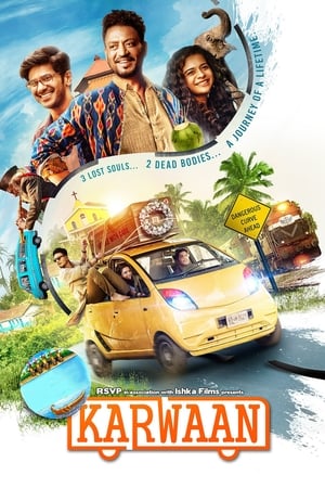 Karwaan (2018) Hindi Movie HDRip x264 [900MB]