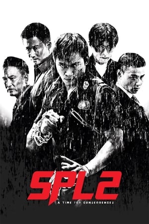 Kill Zone 2 (2015) Hindi Dual Audio BluRay 400MB