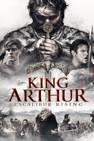 King Arthur: Excalibur Rising 2017 Hindi Dual Audio HDRip – 480p