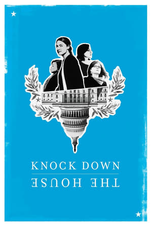 Knock Down the House (2019) Hindi Dual Audio Web-DL [880MB]