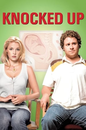 Knocked Up (2007) Hindi Dual Audio BluRay [1GB]