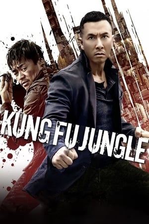 Kung Fu Jungle (2014) Hindi Dual Audio BluRay [800MB]