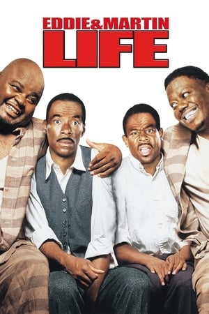 Life (1999) Movie Hindi Dual Audio BluRay [2GB]