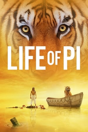 Life of Pi (2012) Hindi Dual Audio BluRay 380MB