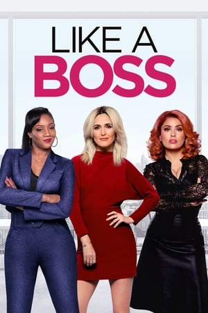Like a Boss (2020) Hindi Dual Audio Web-DL 300MB