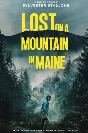 Lost on a Mountain in Maine 2024 Hindi Dubbed CAMRip