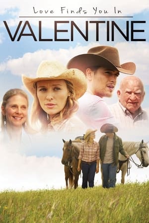 Love Finds You in Valentine (2016) Hindi Dual Audio BluRay [800MB]