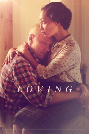 Loving (2016) Hindi Dual Audio BluRay 420MB