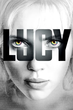 Lucy (2014) Hindi Dual Audio BluRay [800MB] ESubs