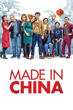 Made in China (2019) Hindi Movie HDRip x264 [930MB]