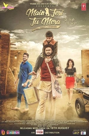 Main Teri Tu Mera 2016 Punjabi HDRip ESubs [1.1 GB]