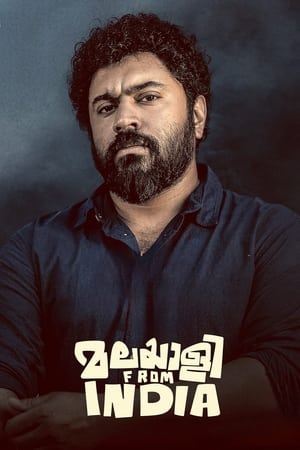 Malayalee from India (2024) [Hindi + Malayalam] HDRip – 480p – 1080p