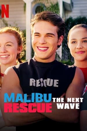 Malibu Rescue: The Next Wave (2020) Hindi Dual Audio Web-DL [640MB]