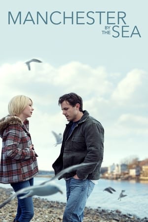 Manchester by the Sea 2016 Hindi Dual Audio BluRay 400MB