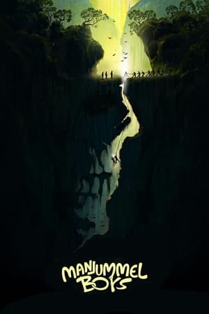 Manjummel Boys 2024 [Hindi (ORG) + Malayalam] HDRip – 480p – 1080p