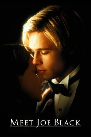 Meet Joe Black 1998 Dual Audio Hindi Full Movie BluRay - 1.3GB