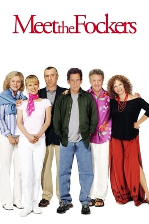 Meet the Fockers 2004 Hindi Dual Audio BluRay [1GB]