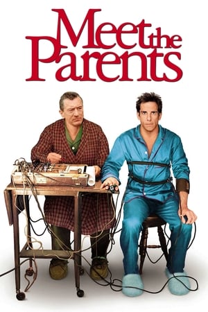 Meet the Parents 2000 Hindi Dual Audio BluRay [930MB]