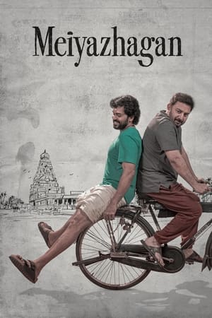 Meiyazhagan 2024 Hindi Dual Audio HDRip – 720p – 480p