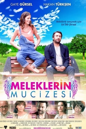 Meleklerin mucizesi (2014) Hindi Dual Audio Web-DL 280MB