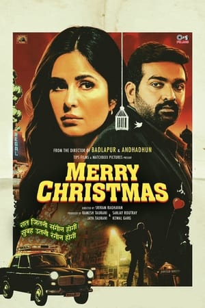 Merry Christmas 2024 Hindi HDTS – 480p