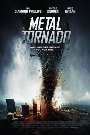 Metal Tornado 2011 Hindi Dual Audio BluRay [1GB]