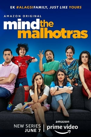 Mind the Malhotras (2019) Season 1 Hindi Web Series HDRip | 480p [Complete]