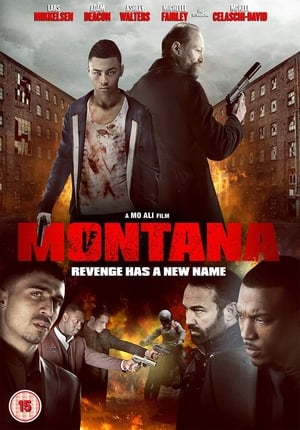 Montana (2014) Hindi Dual Audio BluRay 350MB