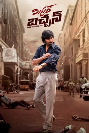 Mr Bachchan 2024 Hindi (Studio-Dub) HDRip – 480p – 1080p