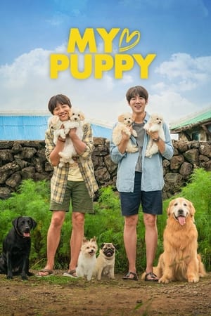 My Heart Puppy (2022) Hindi Dual Audio HDRip – 480p