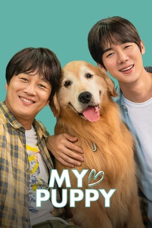 My love puppy (2022) Hindi Dual Audio HDRip – 480p
