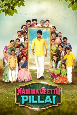 Namma Veettu Pillai (2019) (Hindi -Tamil) Dual Audio UnCut HDRip [1.4GB]