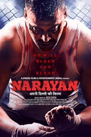 Narayan (2017) Hindi Movie HDRip - [340MB]