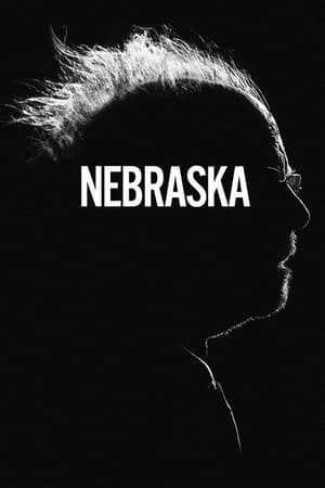Nebraska 2013 Dual Audio Hindi Movie BluRay - 1GB