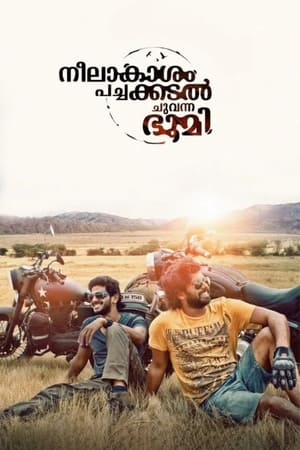 Neelakasham Pachakadal Chuvanna Bhoomi (2013) Hindi Dubbed HDRip 450MB