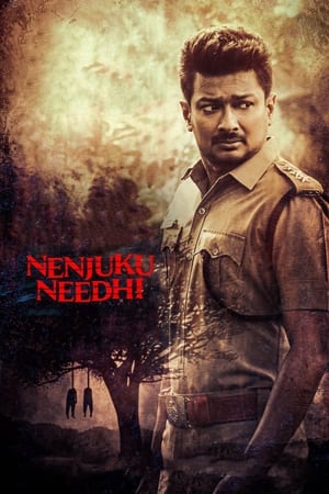 Nenjuku Needhi 2022 Hindi (HQ-Dub) HDRip – 480p
