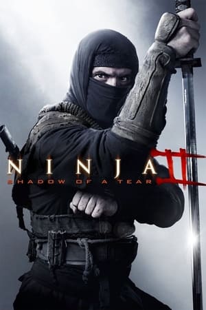 Ninja Shadow of a Tear 2013 Hindi Dual Audio BluRay 300MB