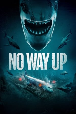 No Way Up (2024) Hindi Dual Audio HDRip – 480p – 1080p