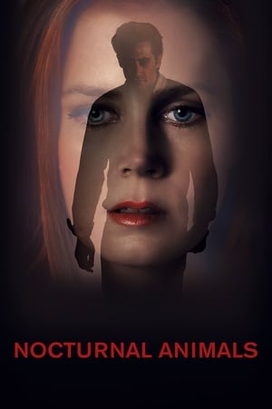 Nocturnal Animals (2016) Hindi Dual Audio BluRay [1GB]