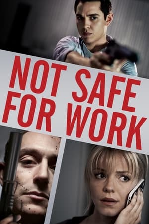 Not Safe for Work (2014) Hindi Dual Audio BluRay [750MB] ESubs