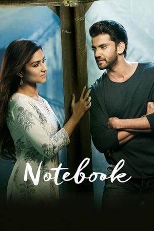 Notebook (2019) Hindi Movie HDRip - [400MB]