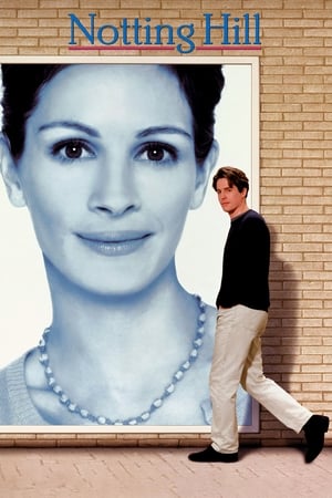 Notting Hill 1999 Hindi Dual Audio BluRay 380MB