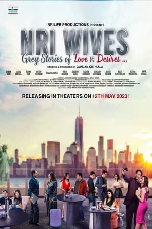 NRI Wives 2023 Hindi Pre-DVDRip | 480p
